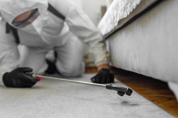 Professional Termite Control technician working in Mendota, CA