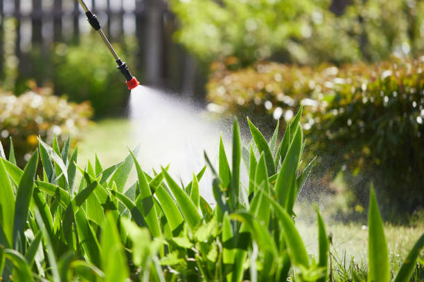24/7 Emergency Termite Control experts in Mendota, CA